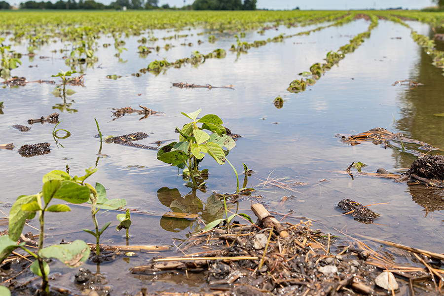 crop and farm insurance graybeal group inc