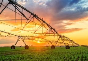 farm insurance graybeal group inc